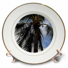 3dRose Kauai Palm Tree, Porcelain Plate, 8-inch   